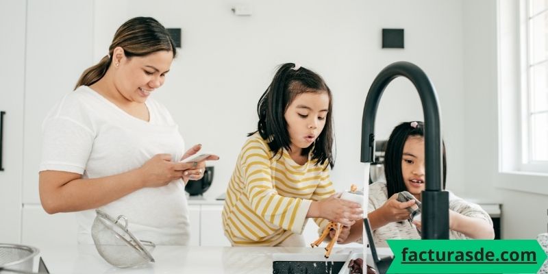 cargas-familiares-sri